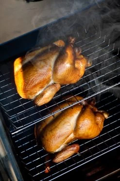 Bradley Digital Smoker 6-Rack / Elektro Räucherofen -Grillen Im Freien 13237 Bradley Smoker Gefluegel