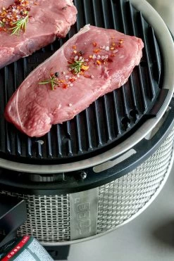 Cobb Grill Premier Gas Deluxe 2.0 - Gasgrill - Kartuschenanschluss - Modell 2023 -Grillen Im Freien Cobb Grasgrill Premier Deluxe 2 Griddle Grillplatte