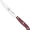 Giesser Premiumcut Steak No 1 Red Diamond Steakmesser, 12 Cm Klinge 2 Giesser Premiumcut Steak No 1 Red Diamond Steakmesser, 12 Cm Klinge -Grillen Im Freien Giesser Steakmesser Steak Red Diamond 195012rd