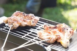Knister Grill Original - Ausziehbarer Holzkohle Kompaktgrill 39 Knister Grill Original - Ausziehbarer Holzkohle Kompaktgrill -Grillen Im Freien Knister Grill Spiesse