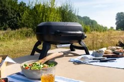 Napoleon TravelQ 240 Kompakt Gasgrill Schwarz- Modell 2023 30 Napoleon TravelQ 240 Kompakt Gasgrill Schwarz- Modell 2023 -Grillen Im Freien Napoleon TravelQ TQ240 Kompakt Tischgrill 1
