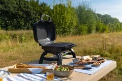 Napoleon TravelQ 240 Kompakt Gasgrill Schwarz- Modell 2023 29 Napoleon TravelQ 240 Kompakt Gasgrill Schwarz- Modell 2023 -Grillen Im Freien Napoleon TravelQ TQ240 Kompaktgrill