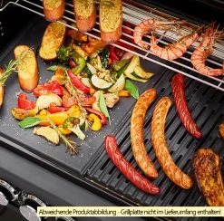 Rösle Gasgrill Magnum PRO G4-S - X-DEAL Inkl. Abdeckhaube Und Gusseisen Grillplatte - Modell 2023 -Grillen Im Freien Roesle Magnum Pro G4 S Grillflaeche